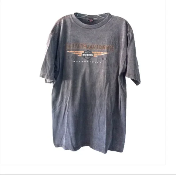 Genuine Harley-Davidson Men’s T-Shirt Sz Large Gray New Smyrna Beach Florida - Picture 2 of 12
